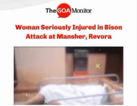 Woman Seriously Injured in Bison Attack at Mansher, Revora