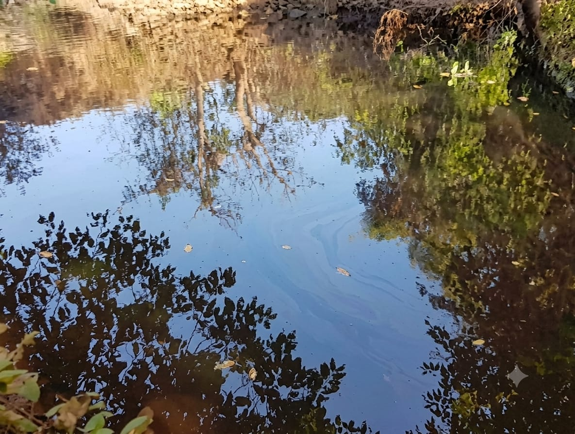 MOLASSES LEAK CONTAMINATES KHALWADDEM RIVULET
